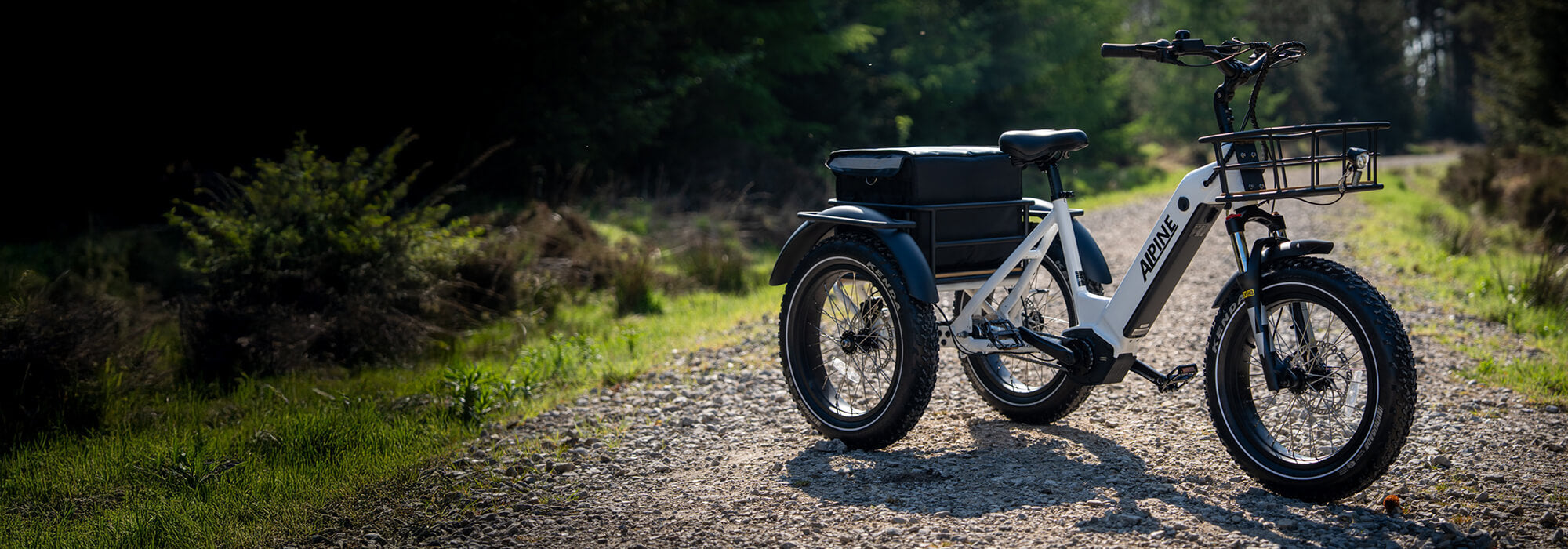 An Alpine electric mountain bike on a forest pathway.