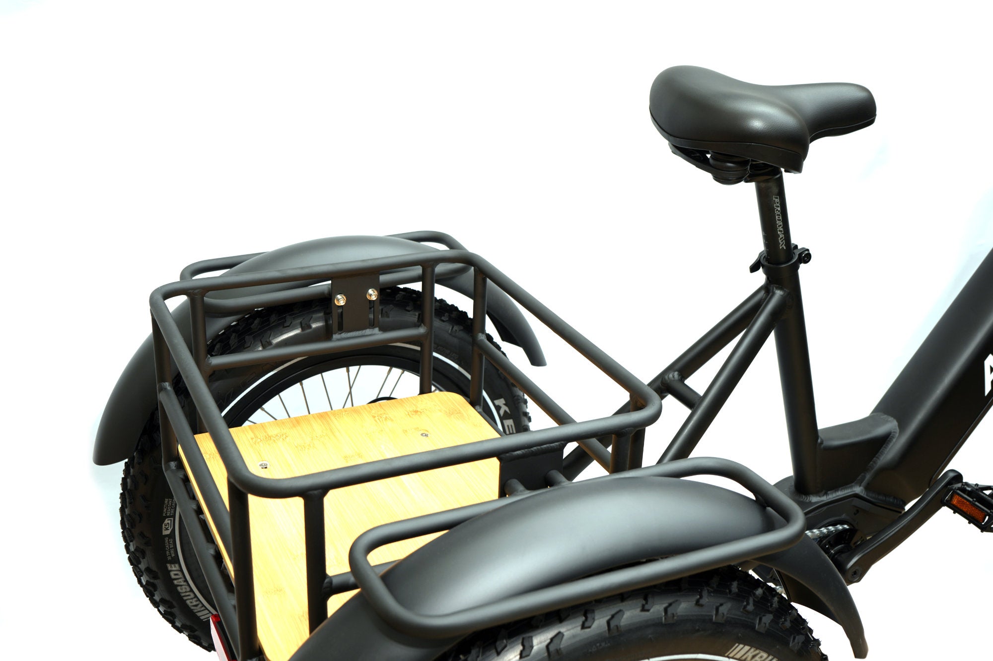 Alpine Expedition - Electric Mountain Tricycle