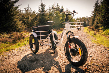Alpine Explorer - Electric Mountain Tricycle