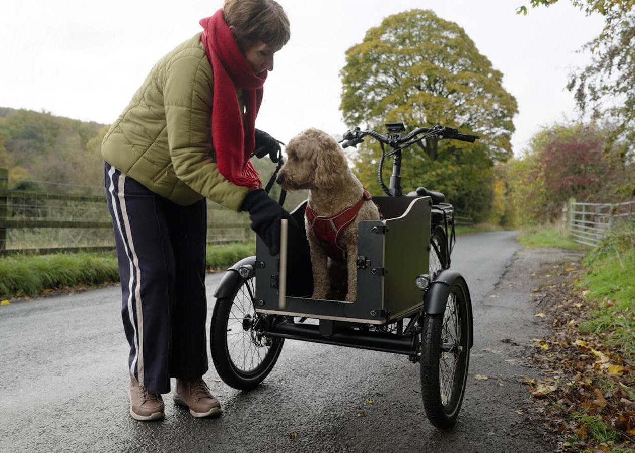 Alpine Sherpa Electric Tricycle - with dog box