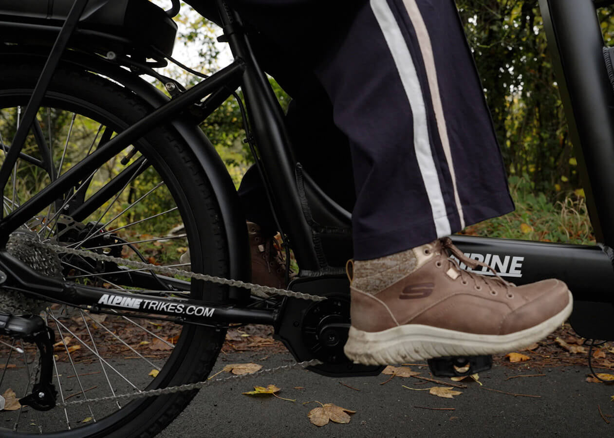 Alpine Sherpa Electric Tricycle - with cargo box