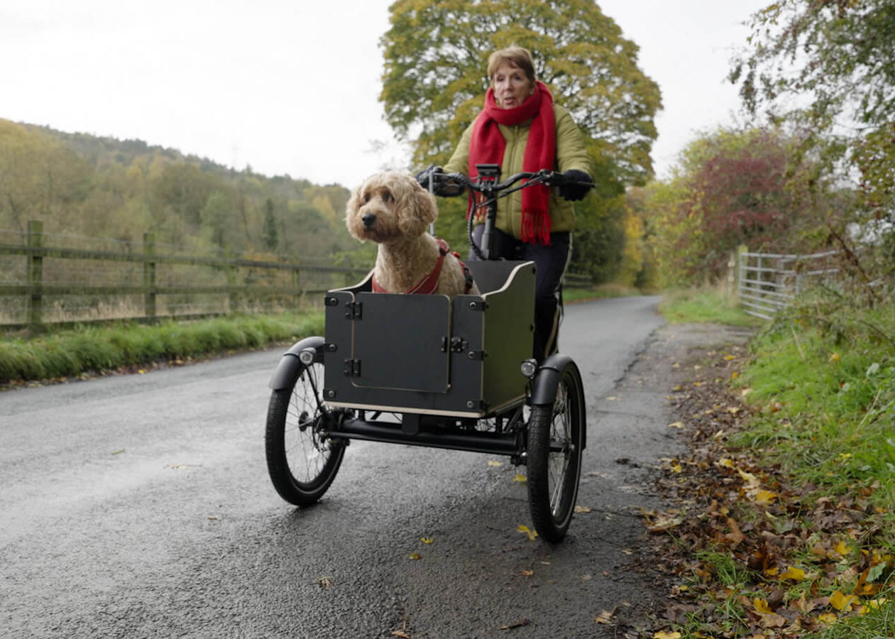 Alpine Sherpa Electric Tricycle - with dog transporter