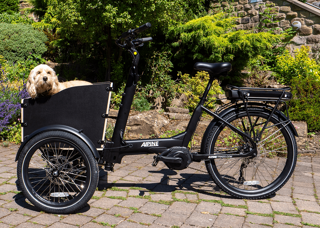 Alpine Sherpa electric trike with pet carrier