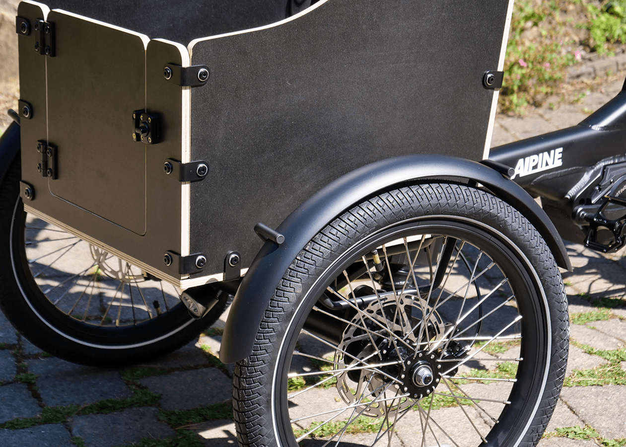Electric trike pet carrier box