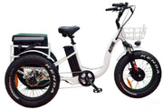 Alpine Explorer - Electric Mountain Tricycle